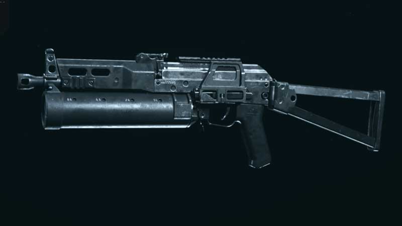 bizon-dorsz-warzone