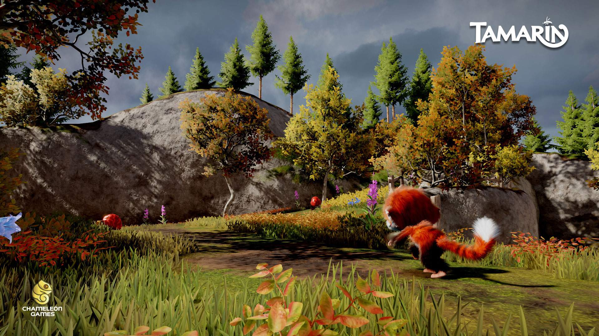 Video For Explore, Leap and Shoot in Tamarin, Available Now