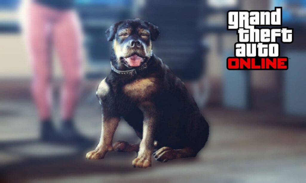 Jak Być Zwierzęciem W Gta 5