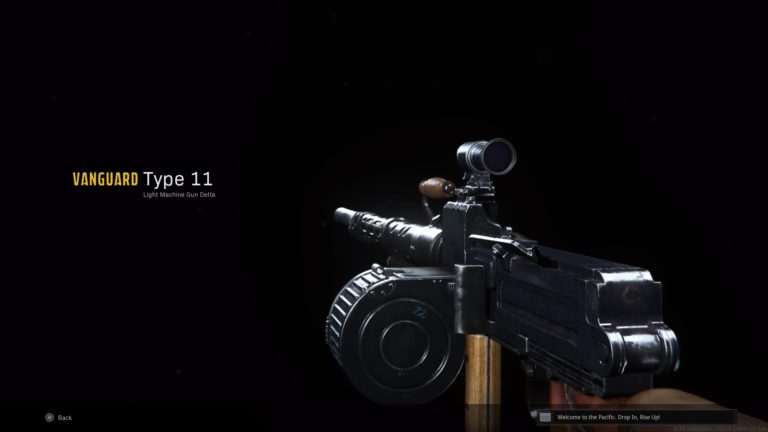 Najlepsze wyposażenie Type 11 w Call of Duty: Warzone