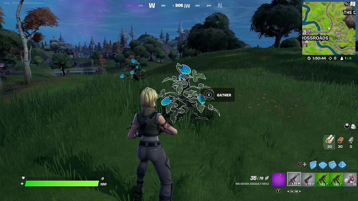 Krzak, w którym można zbierać Klomberries w Fortnite