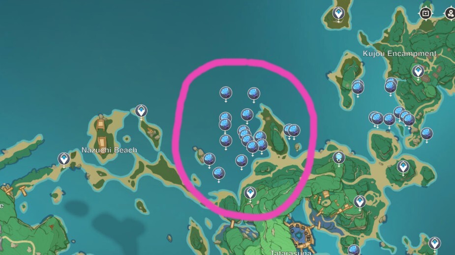 Sea Ganoderma poleca lokalizację do hodowli - w pobliżu plaży Nazuchi. Zdjęcie: Interaktywna mapa Teyvat