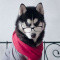 Profil Alvin_Stick, Jeuxvideo.com