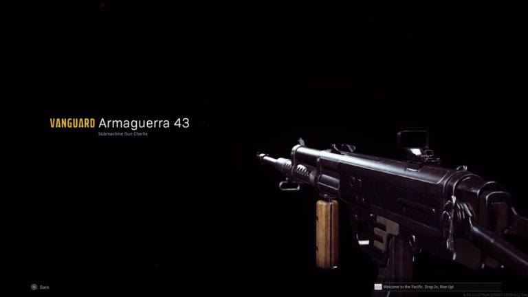 Najlepsze wyposażenie Armaguerry 43 w Call of Duty: Warzone