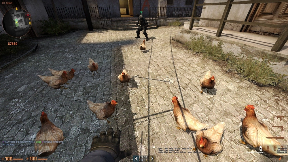 What animals appear in CSGO? You may be surprised