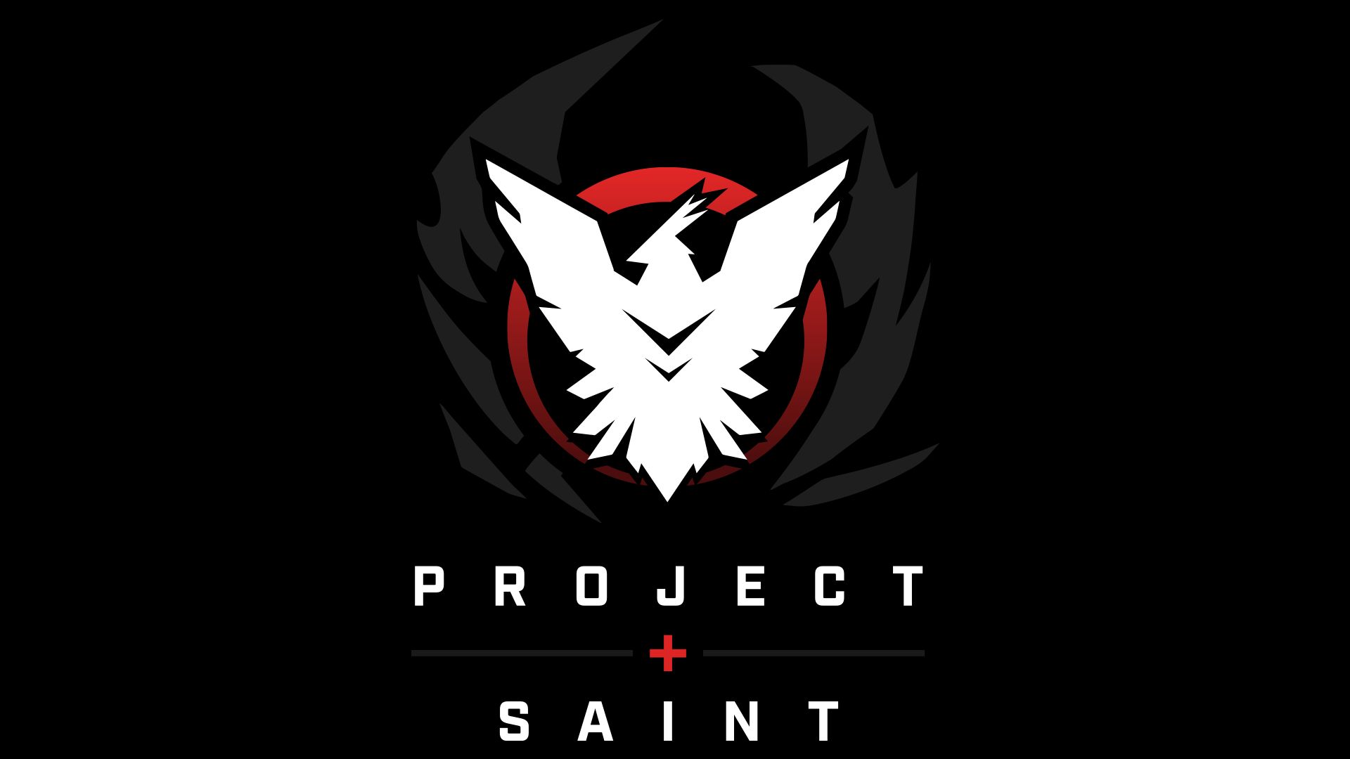 Rogue Company - Projekt Saint Asset