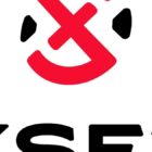 Tee Grizzley tworzy historię, dołączając do lifestylowej marki gier, XSET, LIVE na swoim serwerze GTA RP Grizzley World |  Aktualności