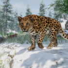 Planet Zoo dodaje pięć zagrożonych zwierząt w nowym DLC o tematyce ochrony przyrody 