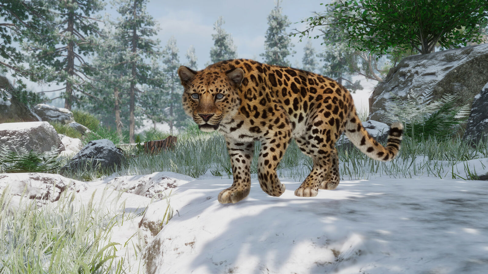 Planet Zoo dodaje pięć zagrożonych zwierząt w nowym DLC o tematyce ochrony przyrody