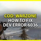 Jak naprawić błąd Dev Of Duty Warzone 6036