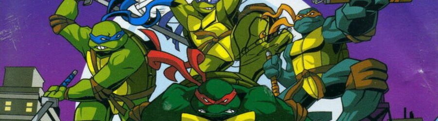 Wojownicze Żółwie Ninja: Zmutowane Walki Wręcz (GCN)