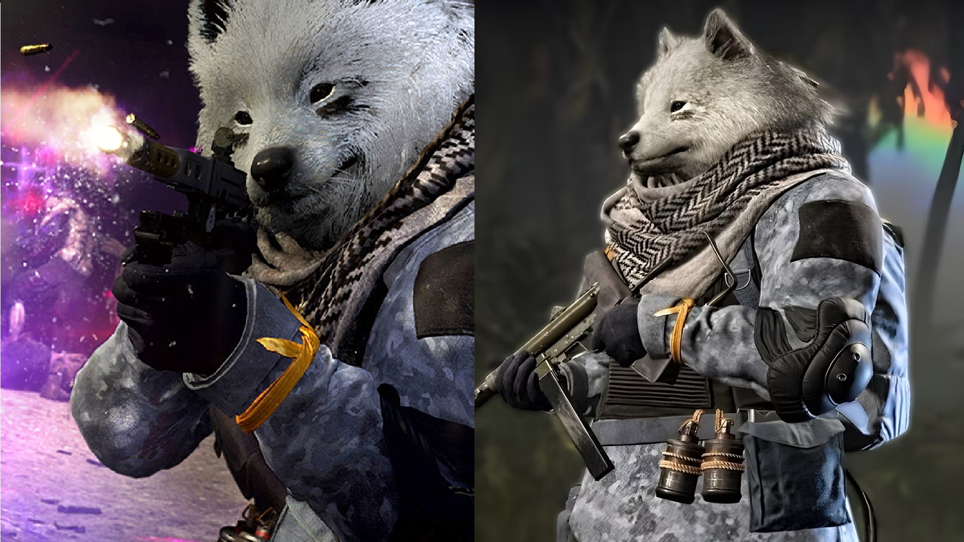 Activision wyciąga skradzioną skórkę „Floof Fury” z Call of Duty: Warzone