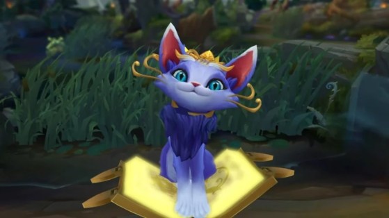 Il est normal que de grands changements demandent des mois de travail, mais ce n'est pas le cas avec Lee Sin - League of Legends