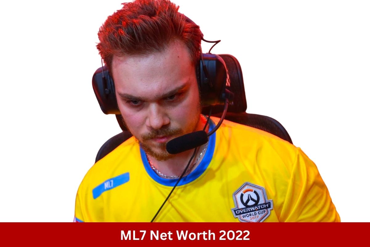 ML7 Wartość netto 2022