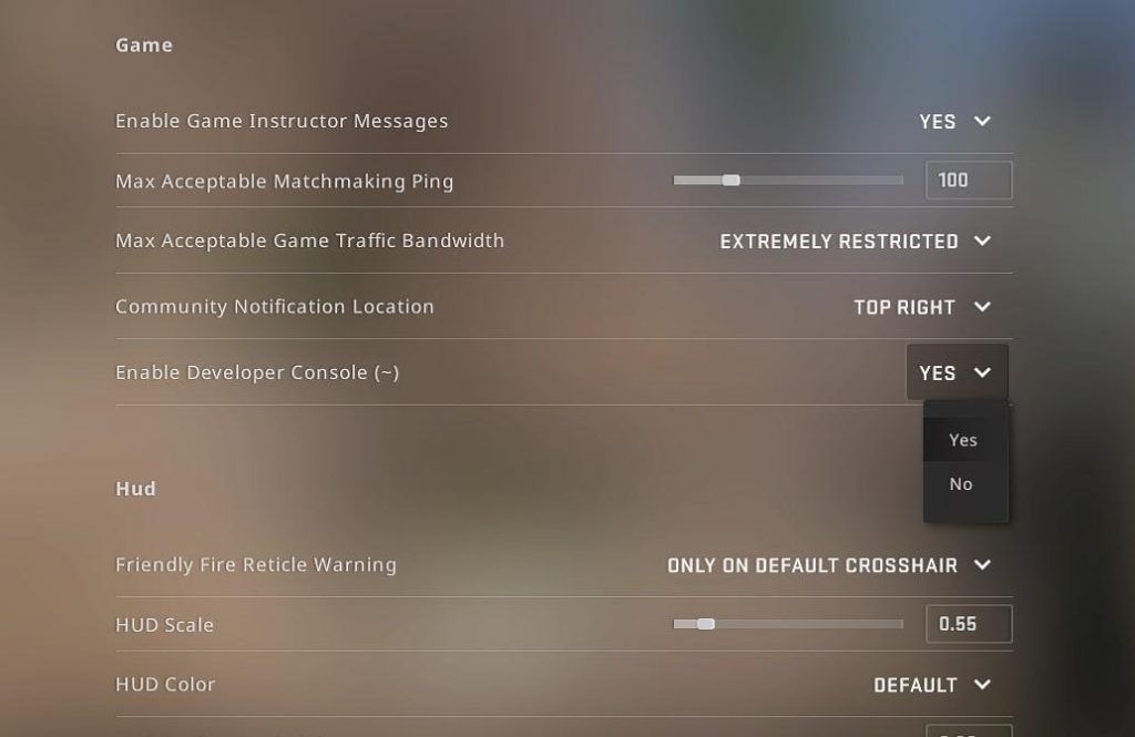 enabling developer mode in CSGO