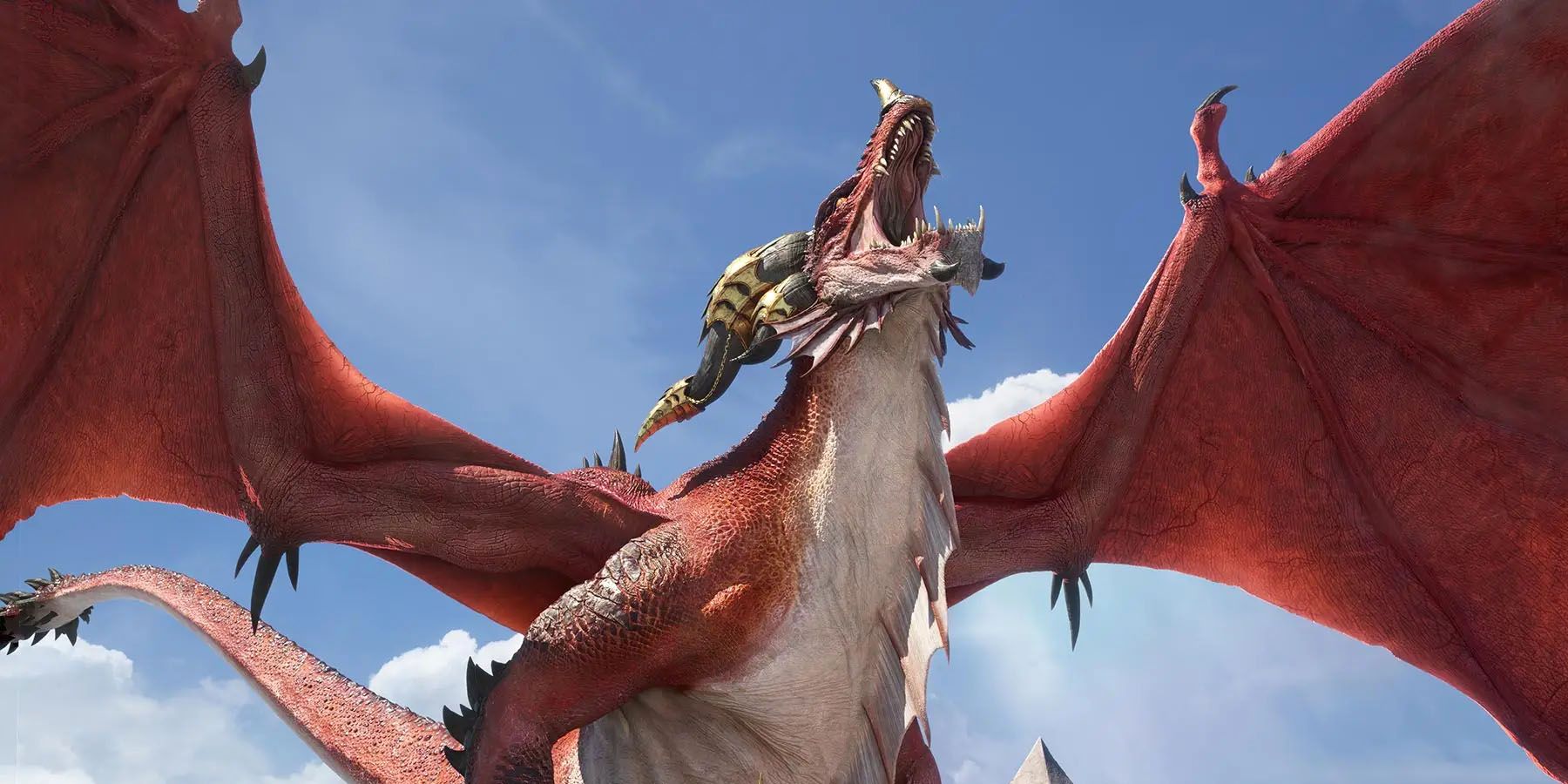 A member of the Red Dragonflight