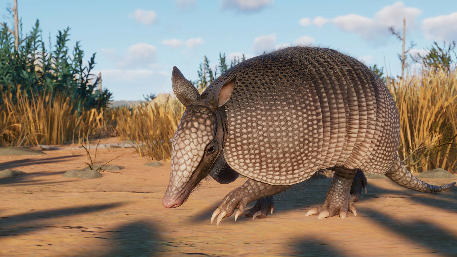 Planet Zoo dodaje emu, pancerniki i nie tylko w nowym dodatku Grasslands
