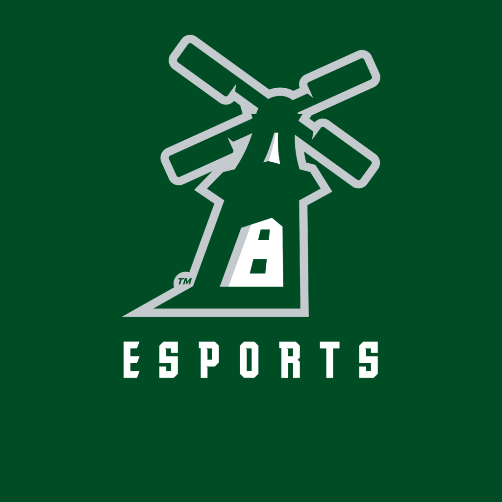 Drużyna Pella eSports zdobywa tytuł District League of Legends |  Radia KNIA KRLS
