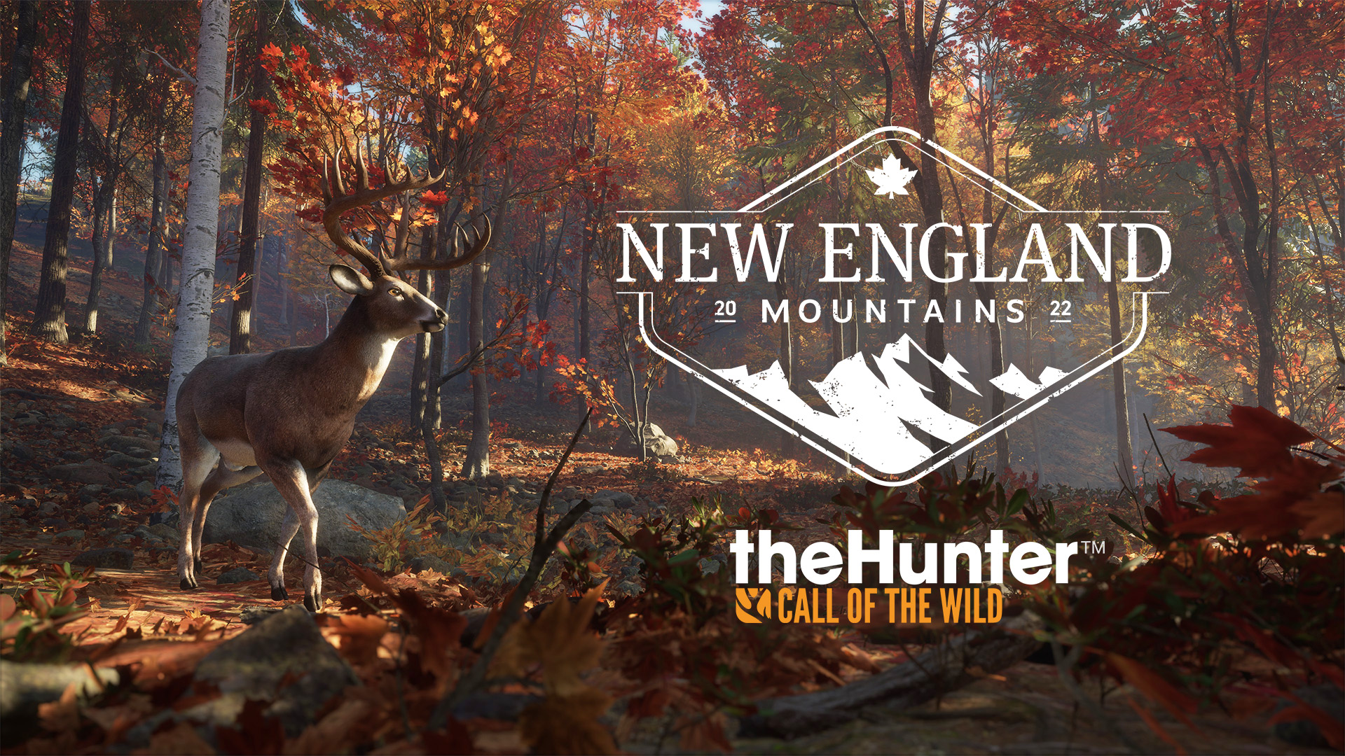 Góry Nowej Anglii już dostępne dla theHunter: Call of the Wild