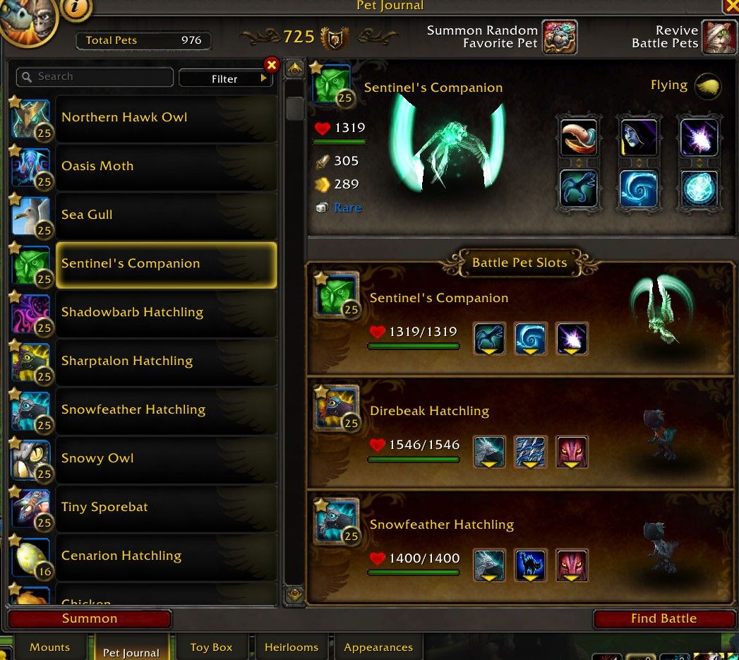 World of Warcraft Bakhushek przeciwko drużynie latających zwierzaków