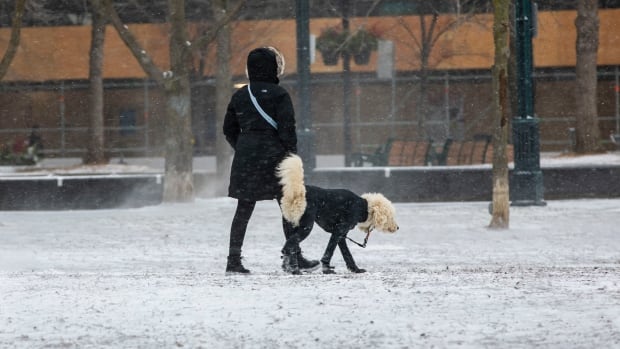 Policja reaguje na dziesiątki wypadków jak koce śnieżne GTA, miasto ogłasza alarm ekstremalnego zimna
