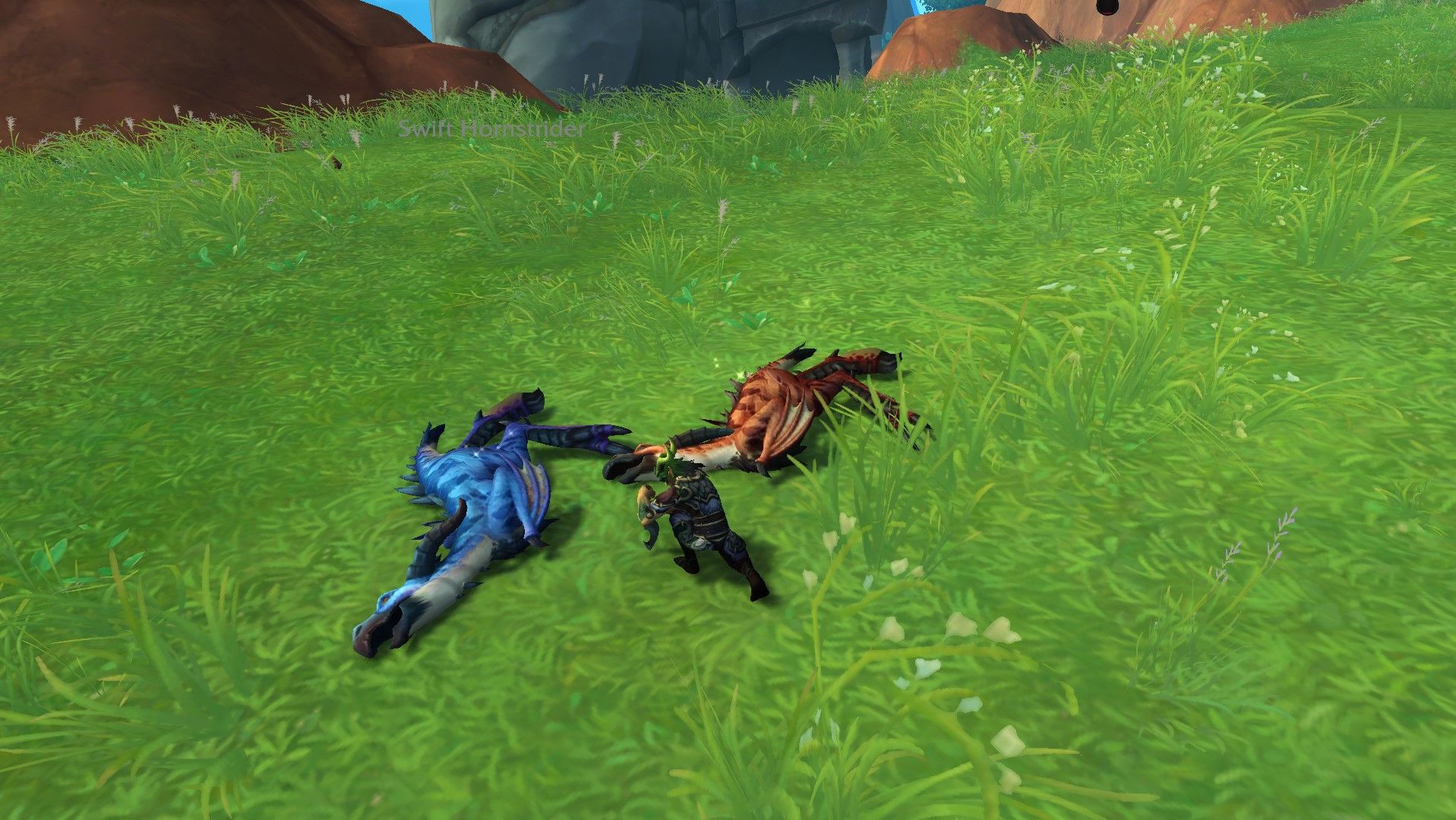Skinner w trakcie pobierania łusek od Swifta Hornstridera w World of Warcraft.