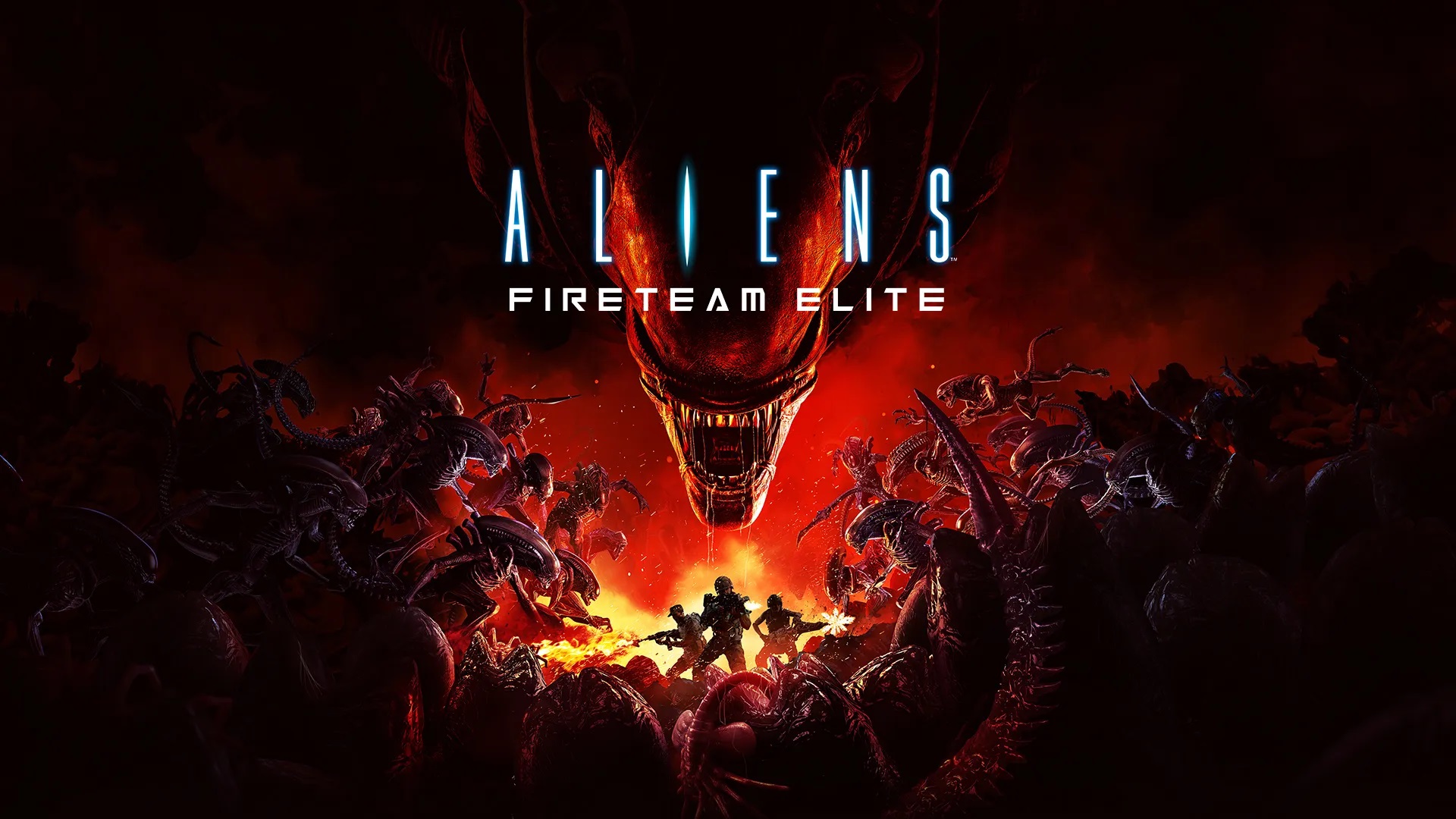 Fireteam Elite zmierza na Nintendo Switch (przez Cloud Gaming)