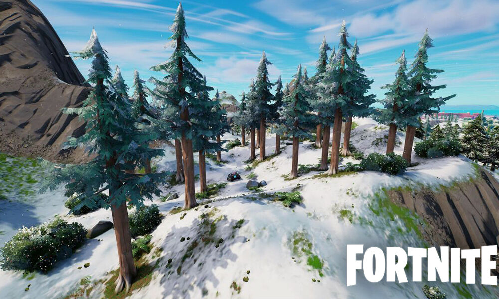 Timber Pines in Fortnite