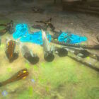Zelda: Tears Of The Kingdom - Przewodnik po Shield Surf Easy Item Dupe Guide 