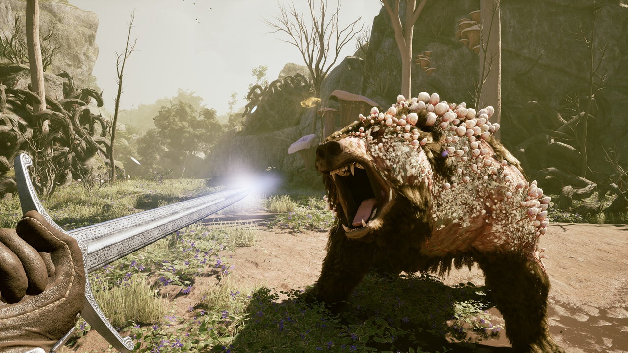Deklarowany rozmiar i zasięg bliższy The Outer Worlds niż Skyrim