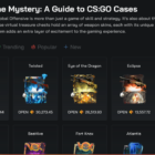 Understanding CSGO Cases and Their Role in the Thriving Online Marketplace