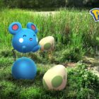 Dzień wylęgu Azurill: program i bonusy na wydarzenie Pokémon Go Creo Gaming
