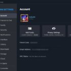 Jak naprawić 'VAC nie był w stanie zweryfikować sesji gry' w CS2? Vac Status Steam