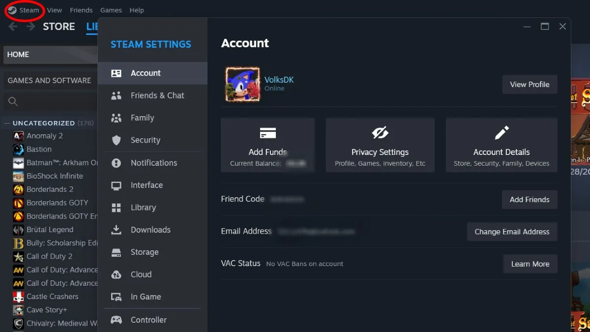 Vac Status Steam