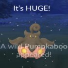 Jak zdobyć Pumpkaboo w Pokémon Go Creo Gaming