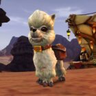 Nowy Twitch WoW-a wywołuje kontrowersje z byłym zwierzakiem z organizacji charytatywnej Creo Gaming