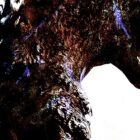 Każda gra Godzilla, jaką kiedykolwiek stworzono – zobacz legendarne występy Króla Potworów w grach wideo. Pamiętam ! Creo Gaming