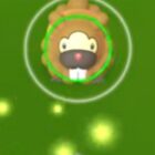 Debata w społeczności Pokemon Go Creo Gaming