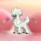 Jak zdobyć Furfrou w Pokémon Go i czy jest błyszczący? Creo Gaming