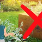 10 najbardziej niemożliwych zadań badawczych w Pokemon GO Creo Gaming