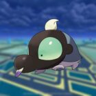 Shroodle w Pokémon GO: jak go zdobyć i czy może być błyszczący? Creo Gaming