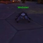 Znajdź wszystkie tkaczy dla Itsy Bitsy Spider w WOW Creo Gaming