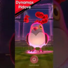 Dynamax Pidove w Pokémon Go: Jak go zdobyć i jego szanse na błyszczące Creo Gaming