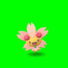 Zdobądź Cherrim w Pokémon Go: Wskazówki i wskazówki Creo Gaming