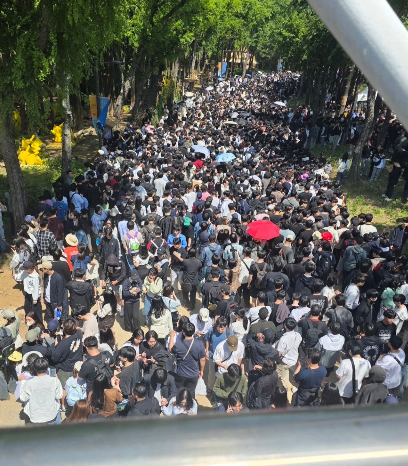 "Pokemon Mega Festa" Shut Down in Korea After 40,000+ Crowd Turns Chaotic Over Magikarp Promo - PokeBeach
