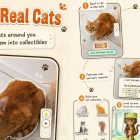 Pokémon Go Fans Need To Try This Free Cat-Collecting Mobile Game