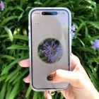 Aplikacja do rozpoznawania kwiatów: zamień swoje spacery w botaniczne poszukiwanie skarbów. This flower identification app turns every walk into Pokémon Go for plants
