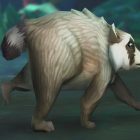 Jimothy, wirusowy szop, pojawia się w WoW i RuneScape! Jimothy the Viral Raccoon Joins Video Games Like World of Warcraft and RuneScape